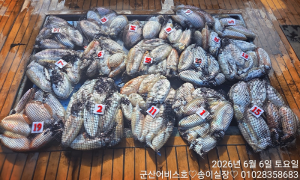 1000025220.jpg