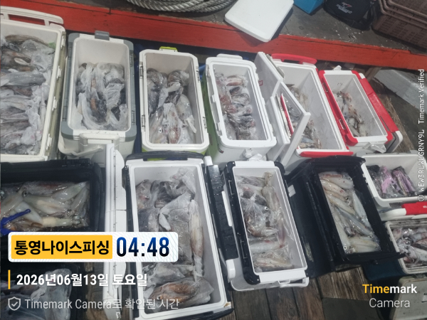 2026-06-13 04.48.49__(제목-통영나이스피싱).jpg