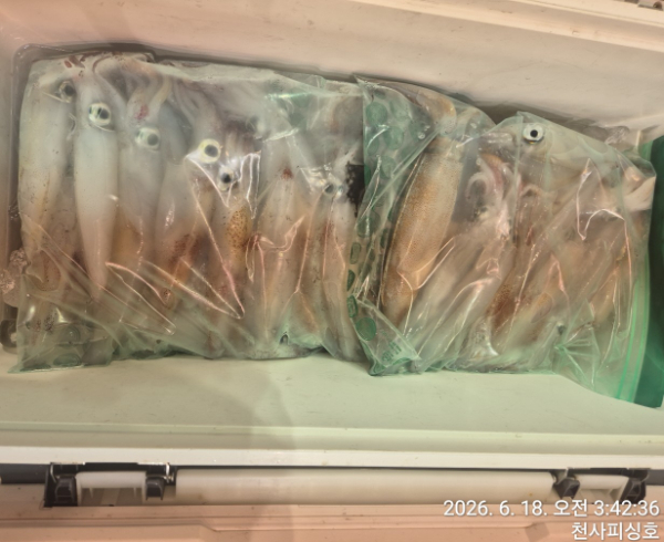 1004피싱_사진_20260618_6.jpg