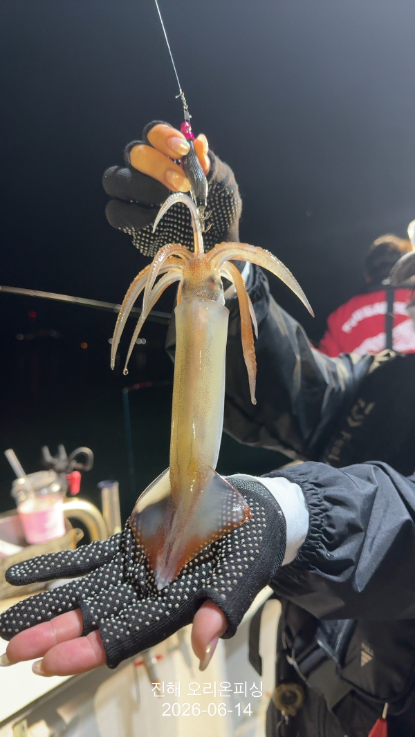 KakaoTalk_20260614_073931970_08.jpg