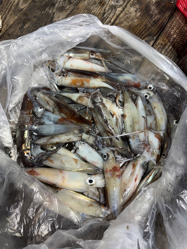 F6740A59-68A1-43B0-A7C0-9804A75EE4B6.jpeg