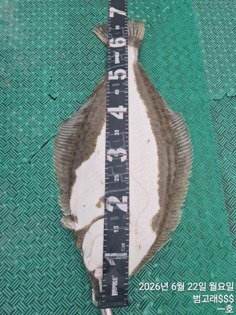 KakaoTalk_20260622_100529240_03.jpg