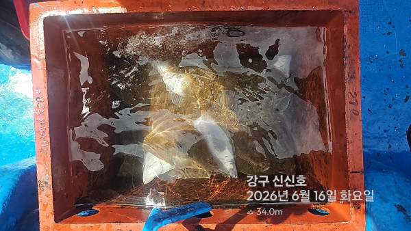 신신낚시 강구점 신신호_사진_20260616_6.jpg