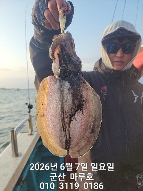 KakaoTalk_20260607_074225052.jpg