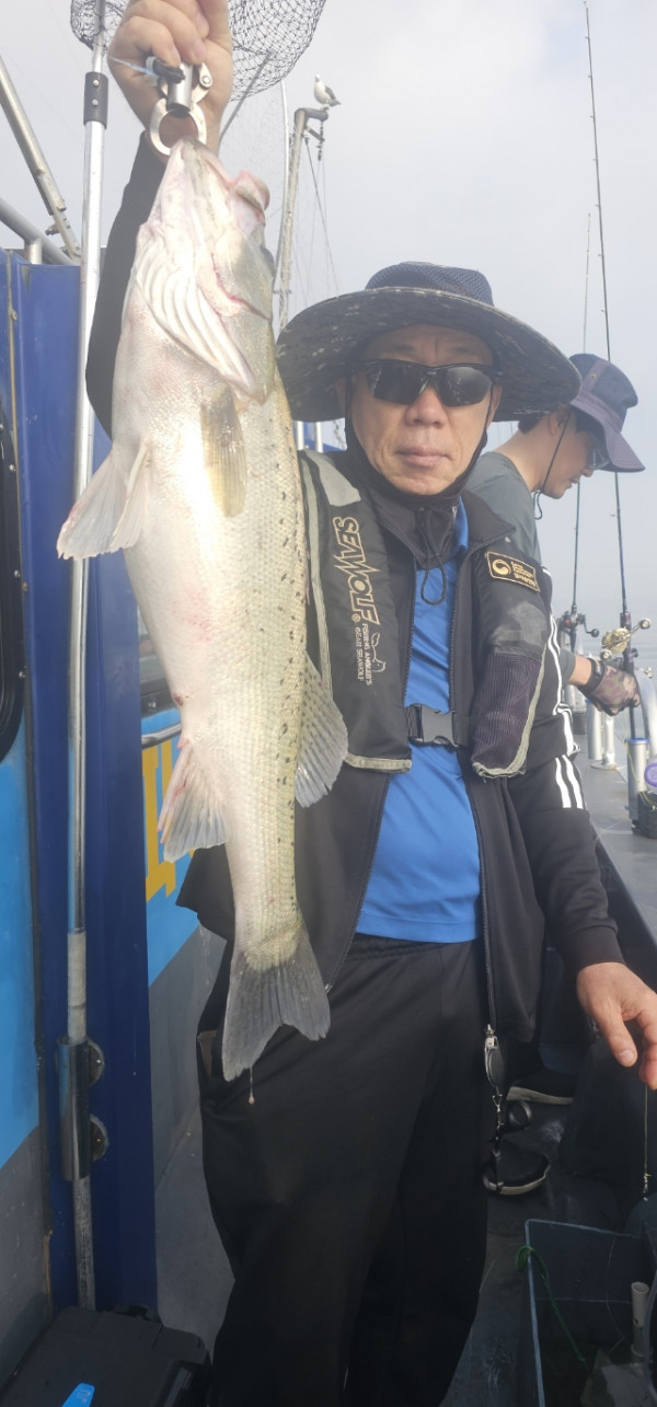 예지퀸호 농어외수질&어초낚시 경기인천권_사진_20260614_6.jpg