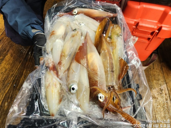 6월6일한치 (12).jpg