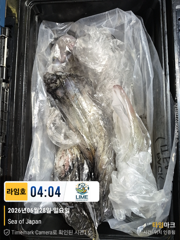 KakaoTalk_20260628_134018523_01.jpg