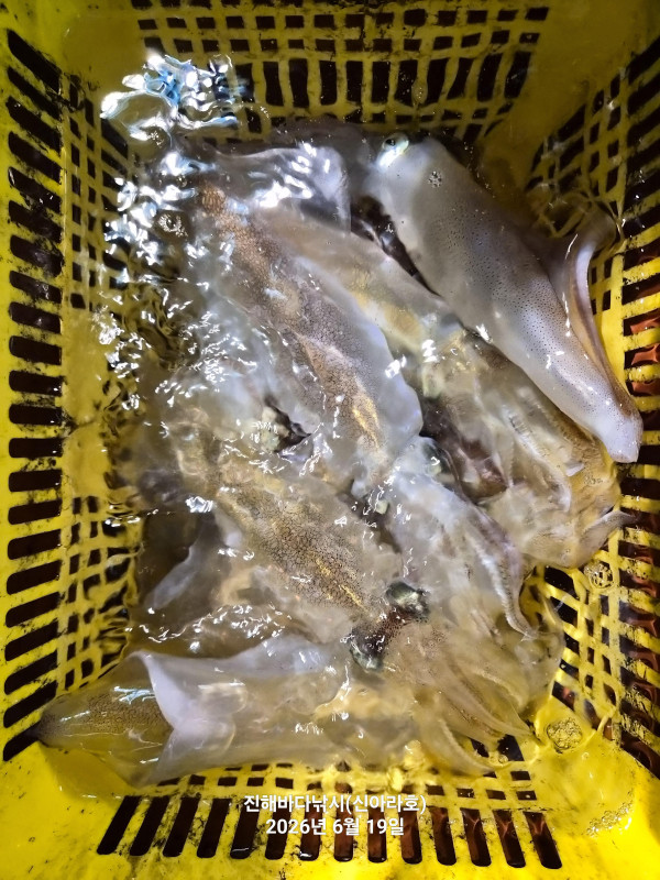 KakaoTalk_20260624_194726348_01.jpg