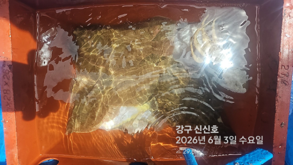 신신낚시 강구점 신신호_사진_20260603_3.jpg