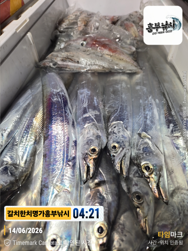 2026-06-14 04.21.11__(제목-갈치한치명가흥부낚시).jpg