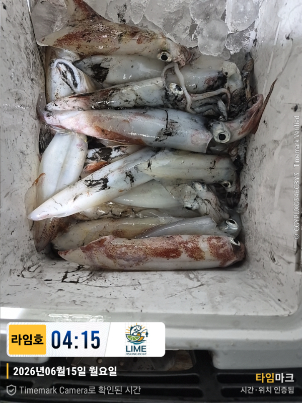 KakaoTalk_20260616_065443814_20.jpg