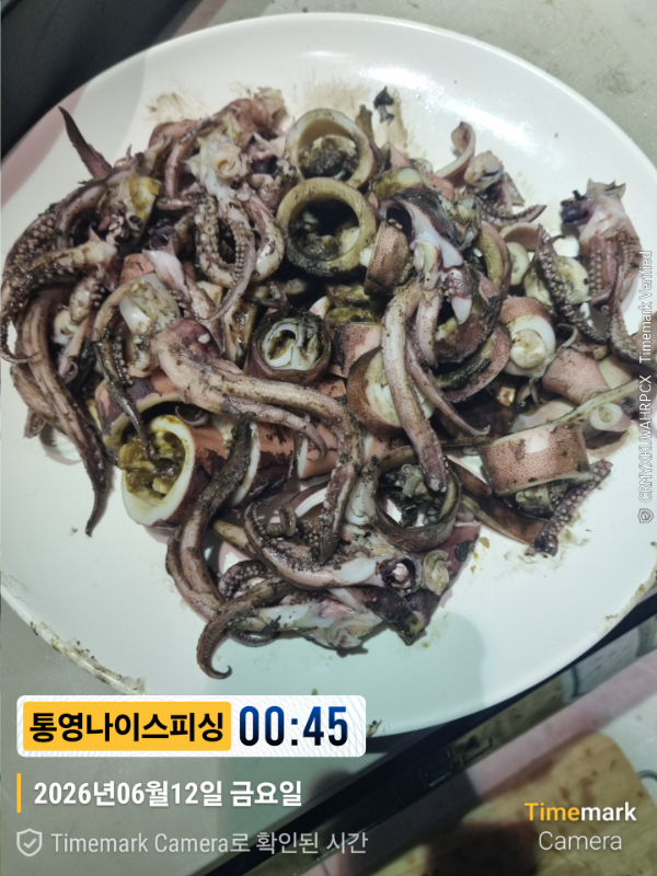 2026-06-12 00.45.41__(제목-통영나이스피싱).jpg