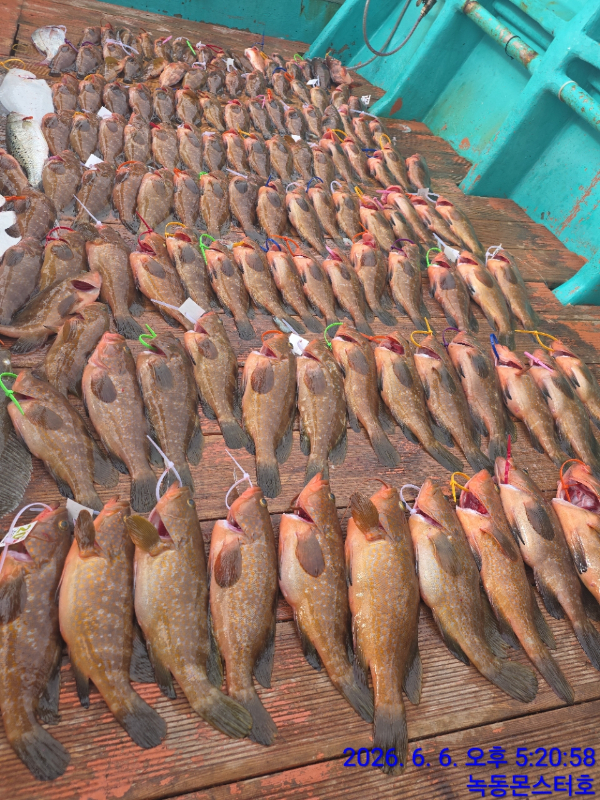 BandPhoto_2026_06_06_18_40_29.jpg
