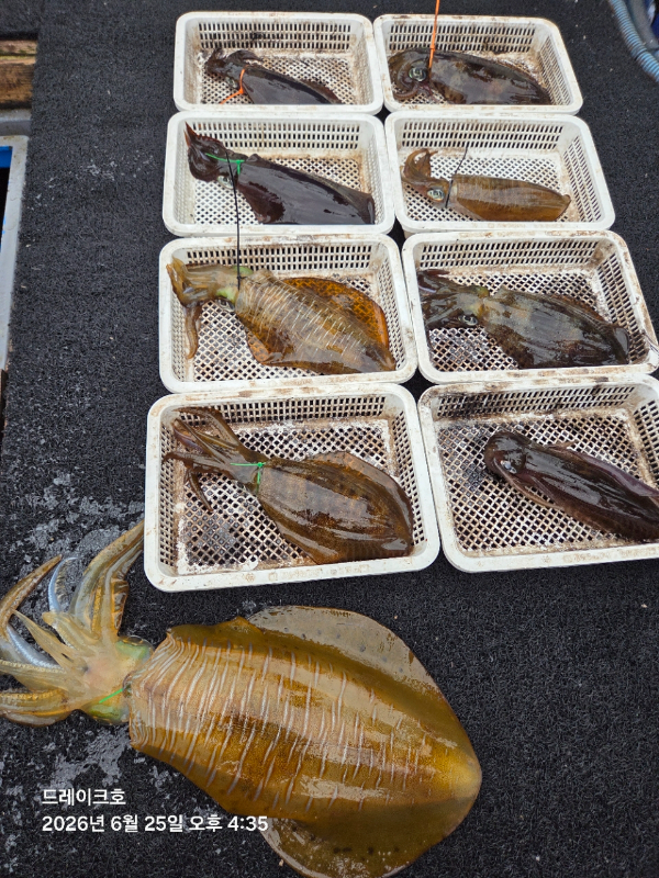 21532.jpg