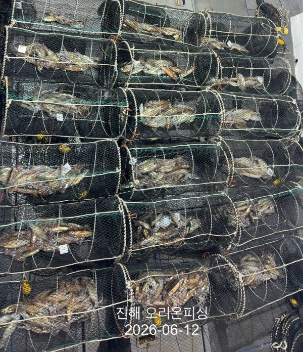 KakaoTalk_20260612_115500292_03.jpg