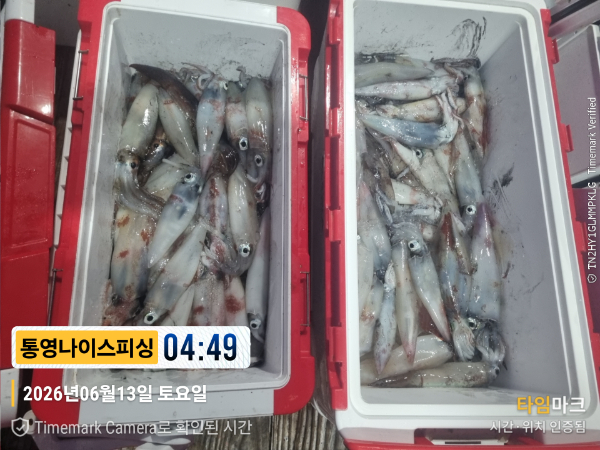 2026-06-13 04.49.30__(제목-통영나이스피싱).jpg