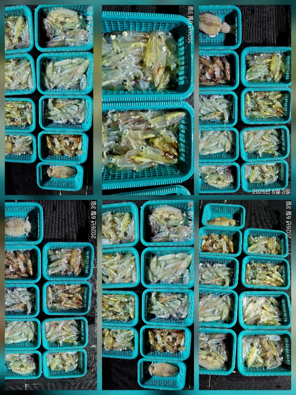1000114044.jpg