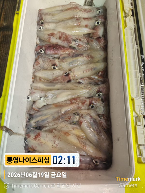 2026-06-19 02.11.12__(제목-통영나이스피싱).jpg