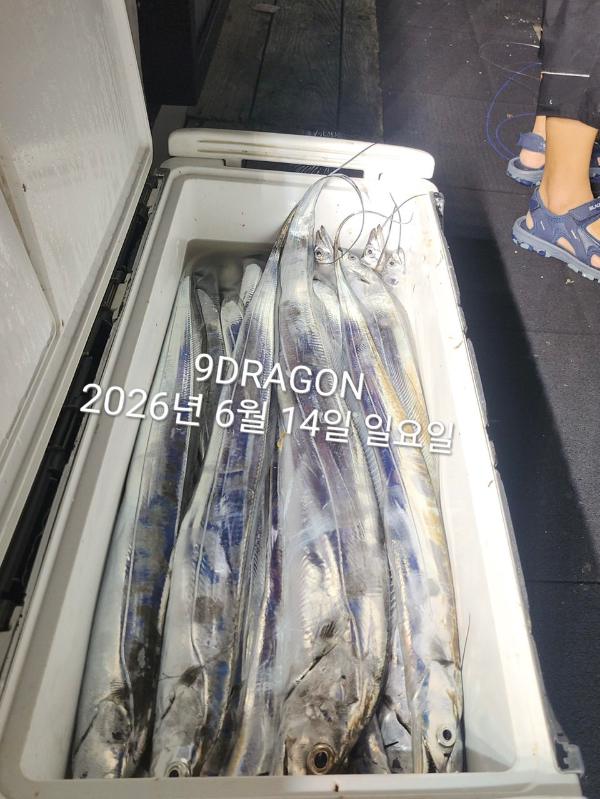 0D69A891-5597-41CB-B743-59395C1BAB49.jpeg
