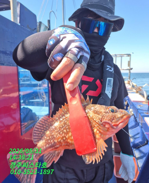 TimePhoto_20260531_143821.jpg