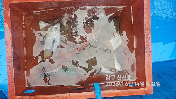 신신낚시 강구점 신신호_사진_20260614_9.jpg