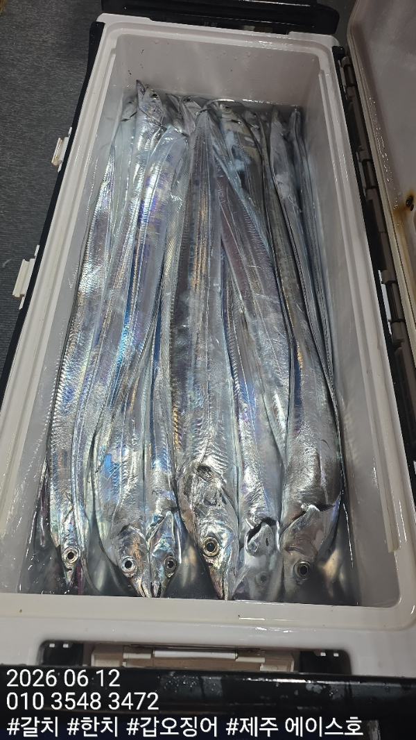 KakaoTalk_20260612_202801564_13.jpg