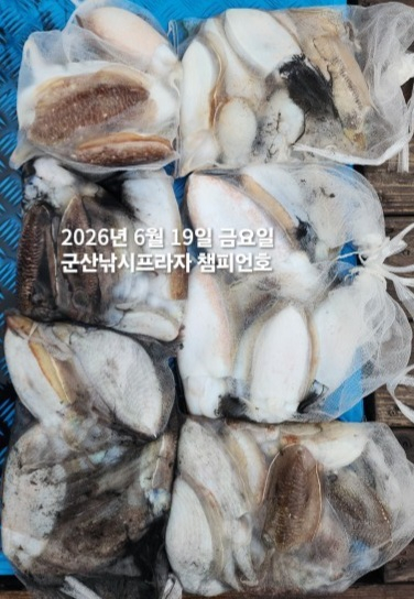 KakaoTalk_20260619_140235712.jpg