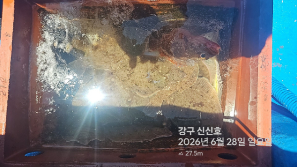신신낚시 강구점 신신호_사진_20260628_6.jpg
