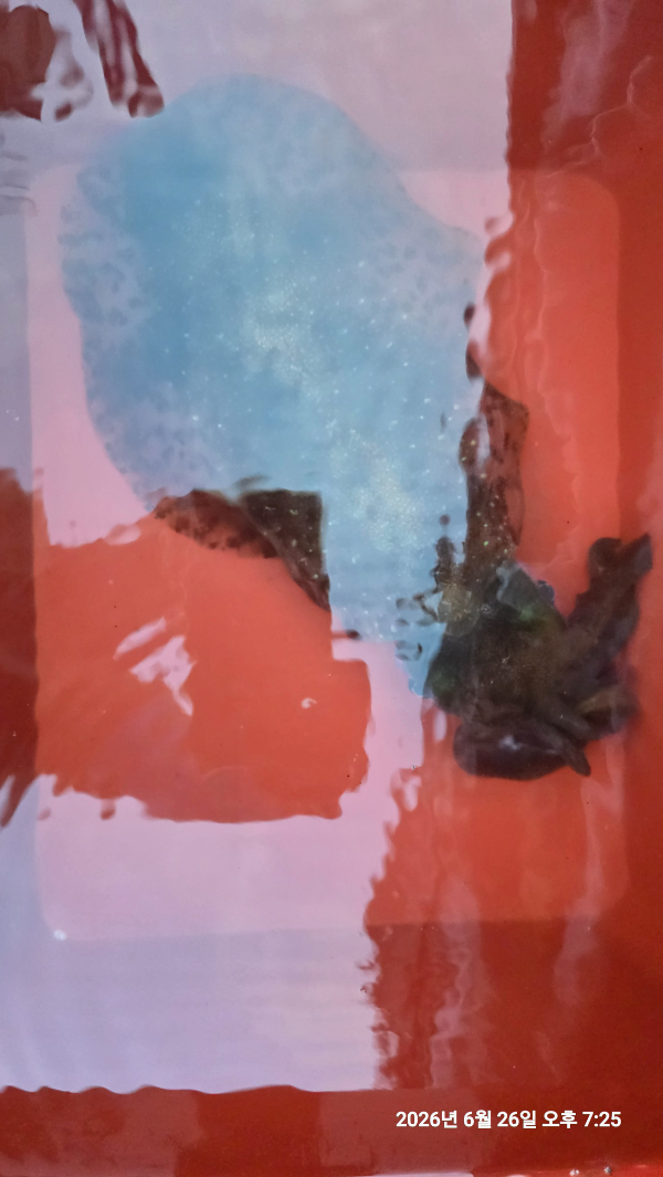 1000107195.jpg