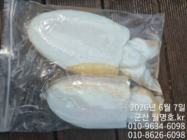 8704.jpg