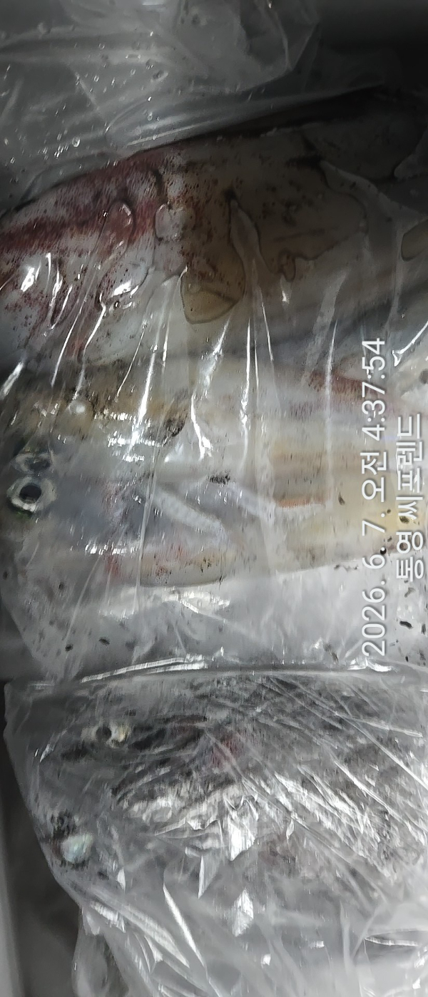 1780784294015.jpg