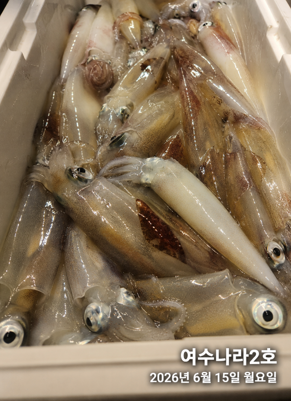 A039EC1A-3A57-45BA-B0ED-4B4D4858CE3E.png