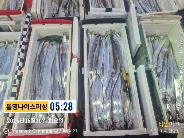 2026-06-30 05.28.29__(제목-통영나이스피싱).jpg