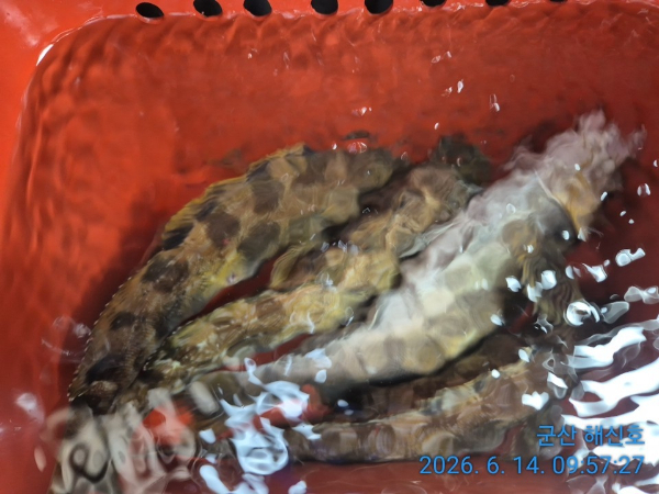 군산해신호_사진_20260614_10.jpg
