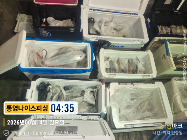 2026-06-14 04.35.55__(제목-통영나이스피싱).jpg