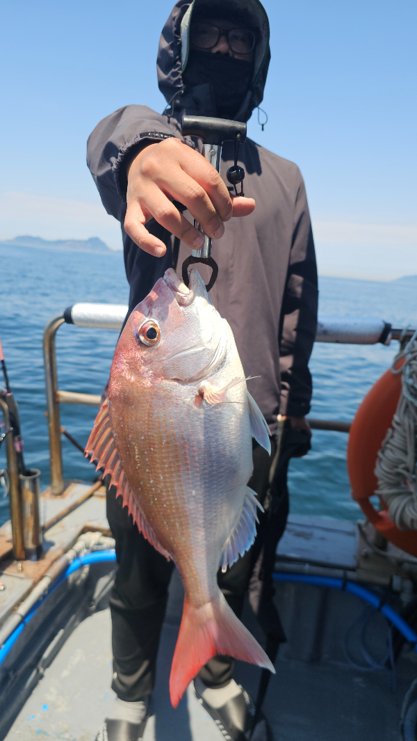 KakaoTalk_20260609_201848193_15.jpg