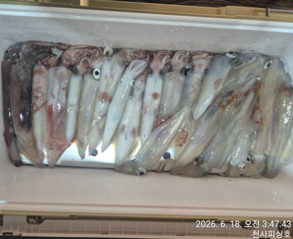 1004피싱_사진_20260618_14.jpg