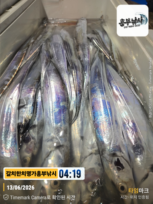 2026-06-13 04.19.35__(제목-갈치한치명가흥부낚시).jpg