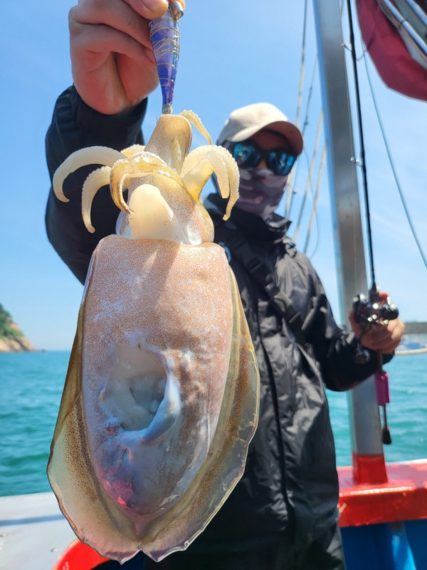 군산 선상낚시, 바다낚시 출조 전문 ☆서군산낚시☆_사진_20260606_3.jpg
