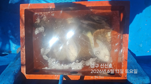신신낚시 강구점 신신호_사진_20260613_9.jpg