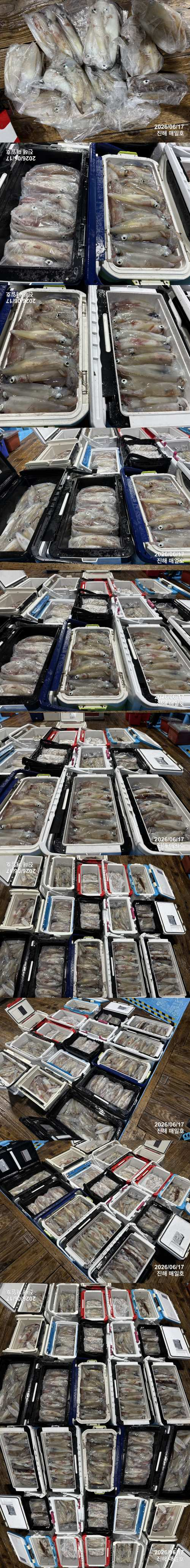 왕한치3.jpg