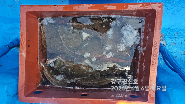 신신낚시 강구점 신신호_사진_20260606_11.jpg