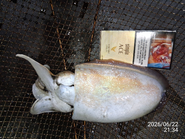 92D18009-ED06-4E30-8973-8CAD0BB068EB.jpeg