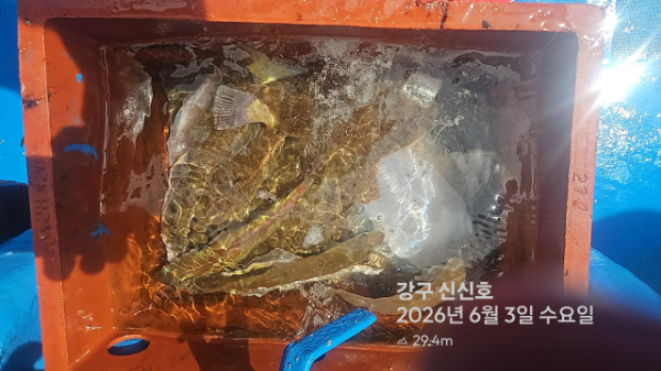 신신낚시 강구점 신신호_사진_20260603_4.jpg