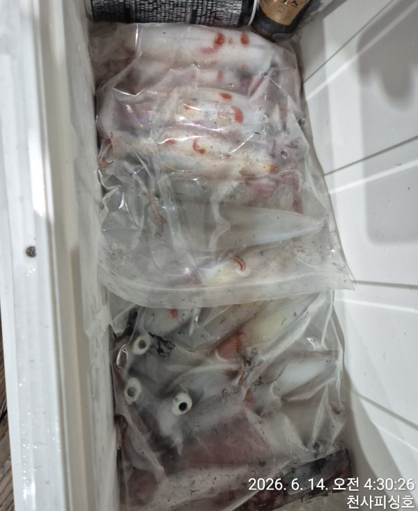 1004피싱_사진_20260614_9.jpg