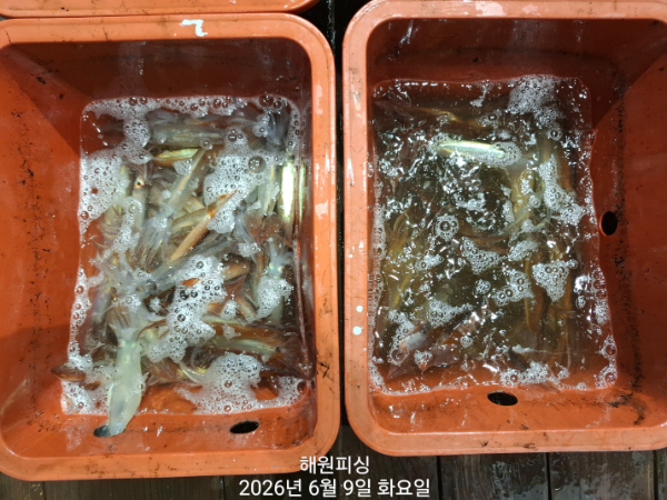 1000031740.jpg