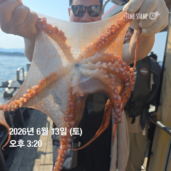 공현진낚시마트(돌핀호)_사진_20260613_5.jpg