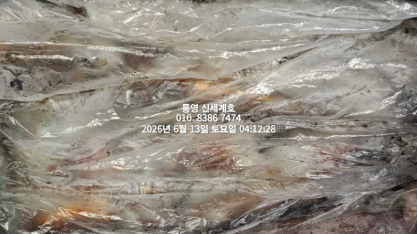 1781301708878.jpg