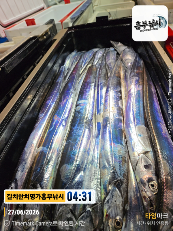 2026-06-27 04.31.49__(제목-갈치한치명가흥부낚시).jpg