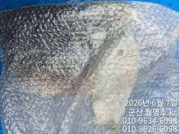 8706.jpg